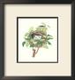 Twite Nest by James Bolton Limited Edition Print