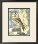 Night Guardian Ii by J.E. Deseve Limited Edition Print