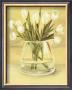 White Tulips In Vase by Cuca Garcia Limited Edition Print