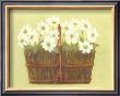 White Flowers In Wicker Basket by Cuca Garcia Limited Edition Pricing Art Print