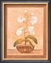 Orchids by Valerie Wenk Limited Edition Print