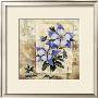 Columbine In Bloom by Richard Henson Limited Edition Print