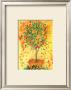 Orange Tree by Dina Cuthbertson Limited Edition Pricing Art Print