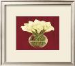 White Cala Lilies In Vase by Jose Gomez Limited Edition Pricing Art Print