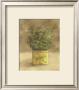Plant In Yellow Tea Can by Jose Gomez Limited Edition Pricing Art Print