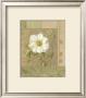 Summer Anemone by Danhui Nai Limited Edition Pricing Art Print