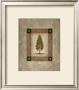 European Pine I by Michael Marcon Limited Edition Print
