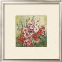 Hollyhock In Midsummer by Katharina Schottler Limited Edition Print