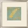 Fern Inspiration by Booker Morey Limited Edition Print