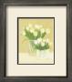 White Tulips In Square Vase by David Col Limited Edition Pricing Art Print