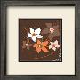 Orange Flower I by Emily Burrowes Limited Edition Print