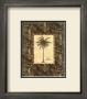 Vintage Palm Iii by Charlene Audrey Limited Edition Pricing Art Print