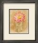 Dahlia Blossom In Glass by Danhui Nai Limited Edition Pricing Art Print