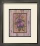 Prune Fructus by Constance Lael Limited Edition Print