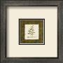 Lace Fern by Walter Robertson Limited Edition Pricing Art Print