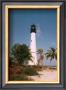 Cape Florida by James Murphy Limited Edition Pricing Art Print