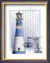 South Island Lighthouse by Tony Fernandes Limited Edition Print