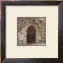 Archway Door With Vines by Francisco Fernandez Limited Edition Print