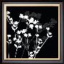 Pure Shadow Flower Ii by Katrine Alex Limited Edition Print