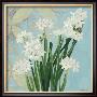 Paperwhites On Blue Ii by Katherine Lovell Limited Edition Print