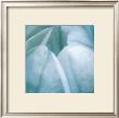 Tulip Trio Iii by Gabriel Scott Limited Edition Print