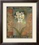 Orchid Romance by Louise Montillio Limited Edition Print