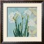 Paperwhites On Blue I by Katherine Lovell Limited Edition Print