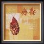 Hojas Iv by Lara Limited Edition Print