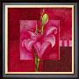 Carre De Fleur V by Sylvi Pasquier Limited Edition Print