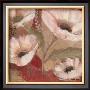 Amapola Blanca Iii by Pamela Luer Limited Edition Print