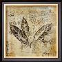 Botanical Sketchbook I by Dennis Carney Limited Edition Pricing Art Print