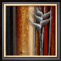 Heliconias And Stripes Iv by Patricia Quintero-Pinto Limited Edition Pricing Art Print