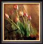 Tulip Reflection by Susan Friedman Limited Edition Print