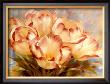 Champagne Red Tulips by Igor Levashov Limited Edition Print