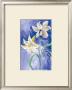 Flores Blancas Fondo Azul by Cruz Limited Edition Print