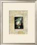 Enquadro Iv by F. Potter Limited Edition Print