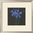 Petite Bleu by Jocelyne Anderson-Tapp Limited Edition Pricing Art Print