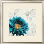 A Touch Of Color Ii by Tandi Venter Limited Edition Print