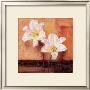 Bright Lilies by Anna Gardner Limited Edition Pricing Art Print