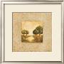 Golden Morning Ii by Silvia Vassileva Limited Edition Pricing Art Print