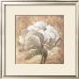 Tawny Peony by Wilder Rich Limited Edition Print