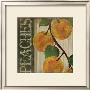 Peaches by Jennifer Pugh Limited Edition Print