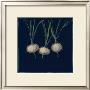 Chalkboard Veggies Iv by Sara Anderson Limited Edition Print