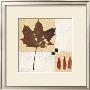 Indian Summer by Anna Conti Limited Edition Pricing Art Print