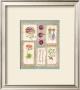 Gardening Pleasures Iii by Gillian Fullard Limited Edition Print