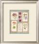 Gardening Pleasures Iii by Gillian Fullard Limited Edition Print