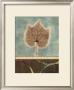 Nature's Way I by Maxwell Hutchinson Limited Edition Pricing Art Print