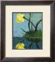 Daffodil by Ezra Jack Keats Limited Edition Pricing Art Print