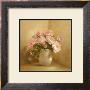 Romantic Roses Ii by Fasani Limited Edition Print