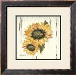 Sunflower I by Grace Pullen Limited Edition Pricing Art Print